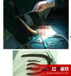 黄鳝视频女主播哪里有,网络直播背后的秘密与争议